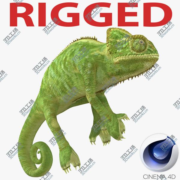 images/goods_img/20210312/Chameleon Rigged for Cinema 4D/1.jpg